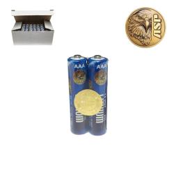 Lot de 500 piles lithium AAA ASP 1,5 V &agrave; protection de circuit - Autre