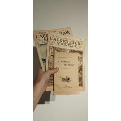 Livre ancien lot collection vintage antiquit&eacute; objet de curiosit&eacute;