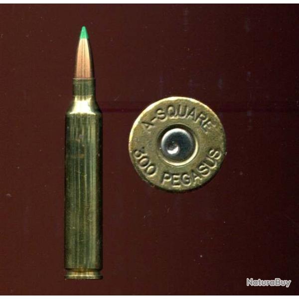 .300 PEGASUS A-SQUARE - TRES RARE 7.62 x 75 PEGASUS - calibre .300 le plus rapide du monde