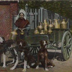 Carte postale ancienne Laiti&egrave;re Flamande -N&deg;8836