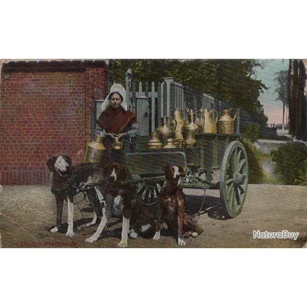 Carte postale ancienne Laiti�re Flamande -N�8836