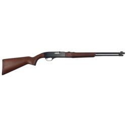 OCCASION - CARABINE SEMI AUTO WINCHESTER 190 CAL.22LR