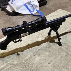 Carabine 22LR Savage mark II synth&eacute;tique  avec mod&eacute;rateur et lunette nikko Stirling 4x32 mountmaster