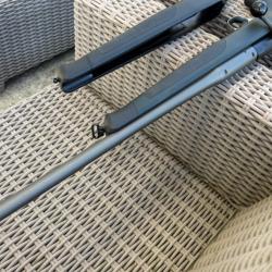 Canon blaser R8 9.3x62
