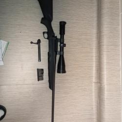 Carabine remington 770 calibre 300