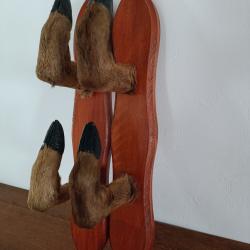 Pates de brocard (4)