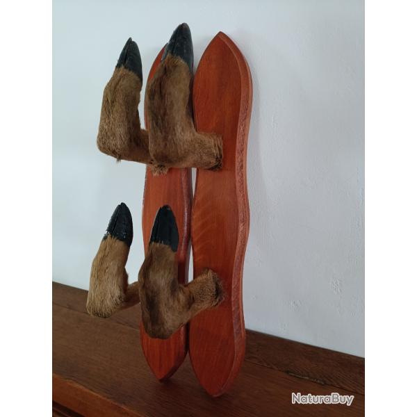 Pates de brocard (4)