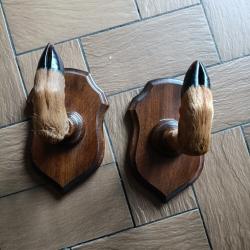 Pates de brocard