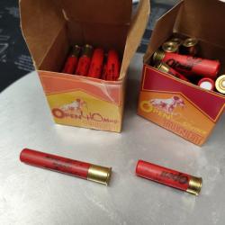 Petit lot de cartouche calibre 12 mm et 410 Magnum