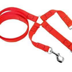 Laisse polypropyl&egrave;ne en 120 + tripleur orange