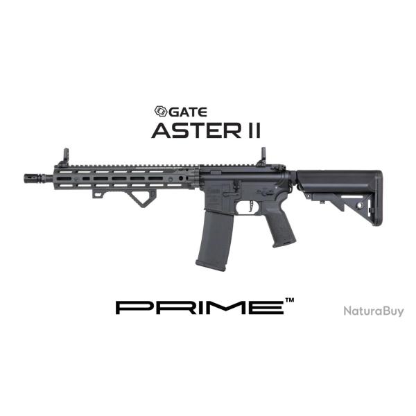 R�plique longue 6mm SA-P28 Prime Aster II DD RIS III 12.5 Brushless gris