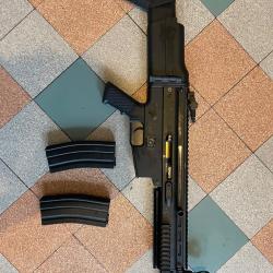 Scar L
