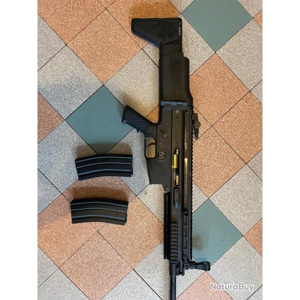 Scar L