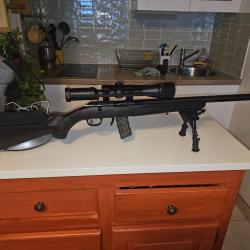 Ruger american rimfire carbone 22Ir