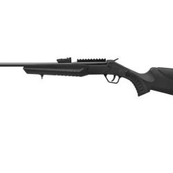Carabine .22LR Montenegro ROSSI