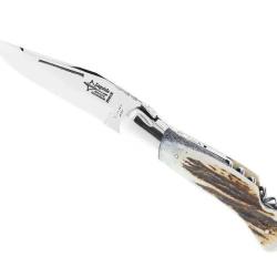 LAGUIOLE CHASSE GRANDE NATURE CERF