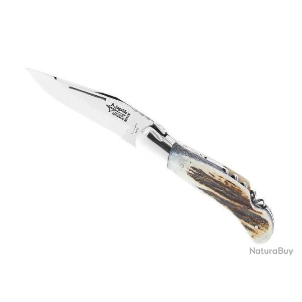 LAGUIOLE CHASSE GRANDE NATURE CERF