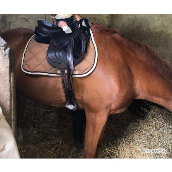 selle DEVOUCOUX
