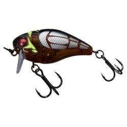 CHUBBY 41 SSR CICADA