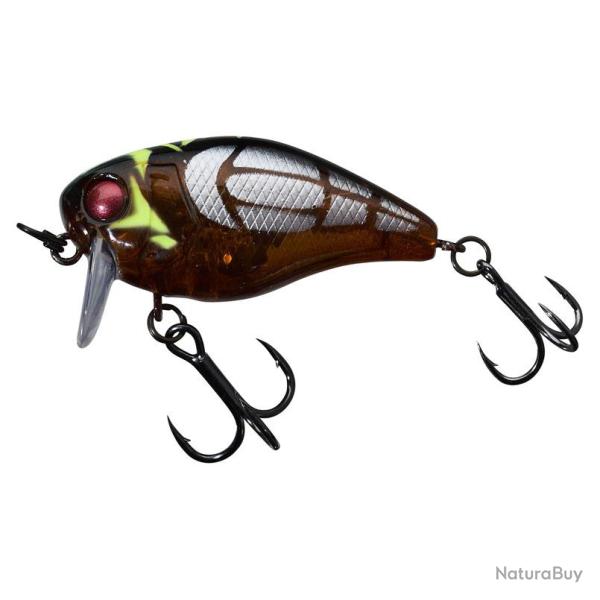 CHUBBY 41 SSR CICADA