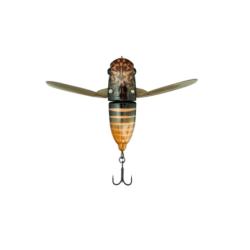 SUISEN LAKE NOJIRI SPRING CICADA