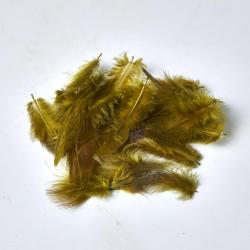 PERDRIX OLIVE