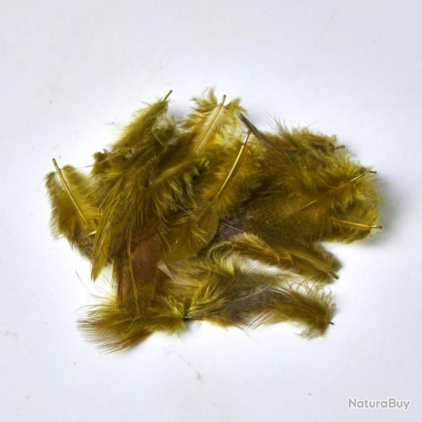 PERDRIX OLIVE