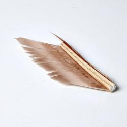 SUBSTITUT DE CONDOR BEIGE