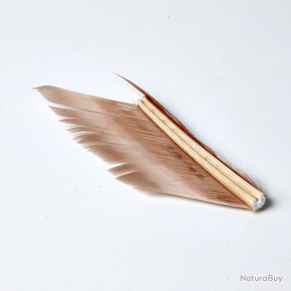 SUBSTITUT DE CONDOR BEIGE