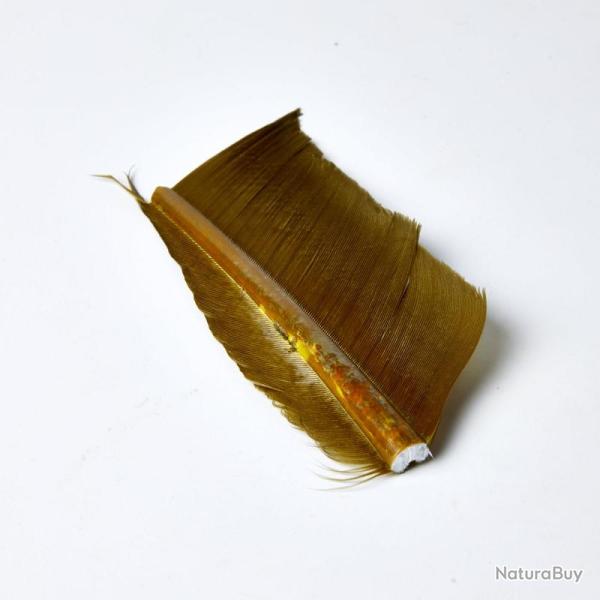 SUBSTITUT DE CONDOR OLIVE