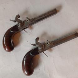 Superbe paire de pistolets de salon / de tir &agrave; percussion (&Eacute;poque XIXe si&egrave;cle)
