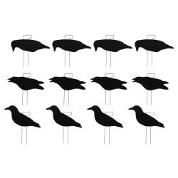 Formes de 12 pigeons LAST PASS - FINAL APPROACH