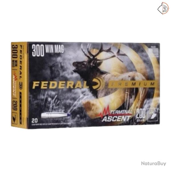 FEDERAL 300 Win Mag 175 gr Terminal Ascent