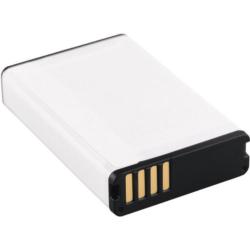 Batterie GARMIN pour Alpha 100, 200, 300
