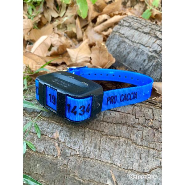 Collier GRAV� chien - Gravure sp�ciale GARMIN Marron