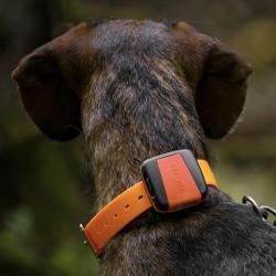 Balise TRACKER BARK 4G