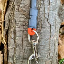 Laisse Biothane - HB DOG