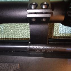 Carabine Rossi 8122 22lr