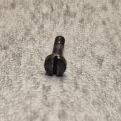 Vis de retention de la plaque de recouvrement pour revolver MAS 1892