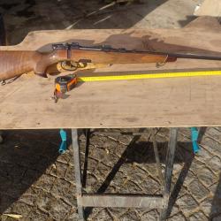 Carabine steyr manlicher 30,06