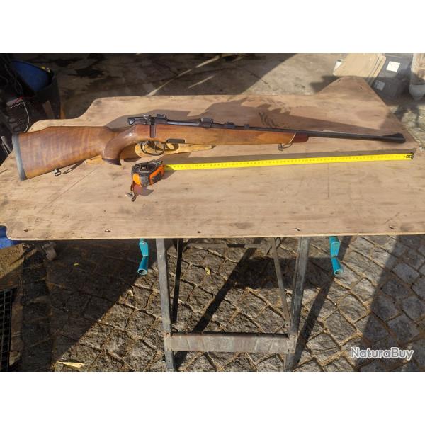 Carabine steyr manlicher 30,06