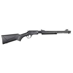 Carabine Rossi Gallery synth&eacute;tique 22LR