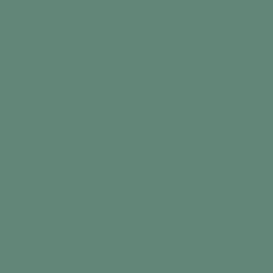 Spray / Bombe Peinture Forest Green (Fosco)