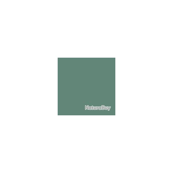 Spray / Bombe Peinture Forest Green (Fosco)