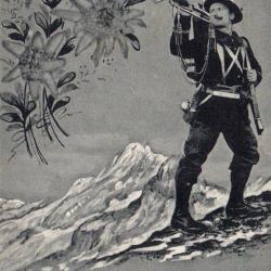 Carte postale 1626 Dauphin&eacute; - Nos Chasseurs Alpins &agrave; la Fronti&egrave;re -N&deg;8421
