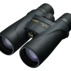 Nikon Monarch 5 16x56 Verre ED grossissement 56 x 16 mm - Autre