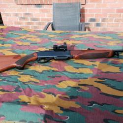 CARABINE WOODMASTER REMINGTON 280