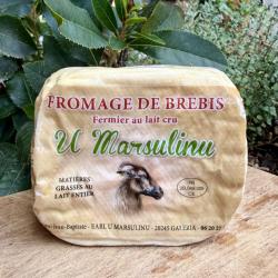 Fromage de brebis corse: u marsulinu