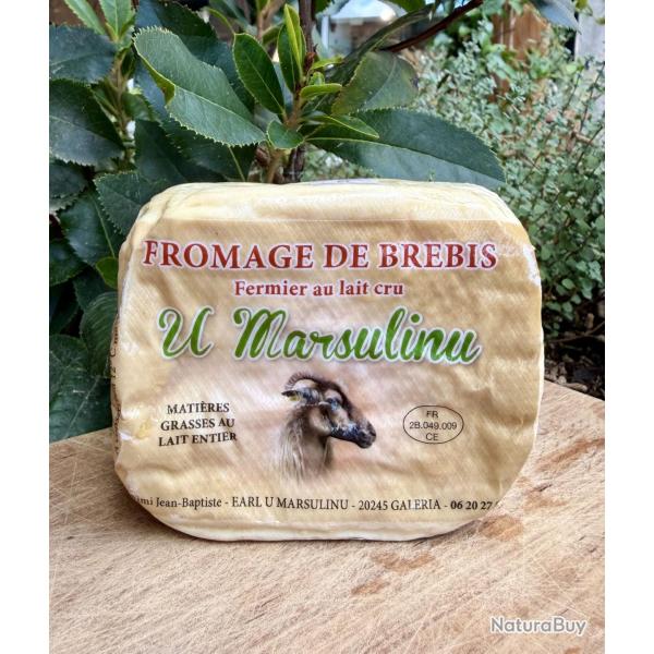 Fromage de brebis corse: u marsulinu