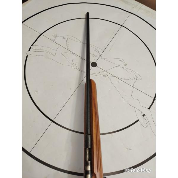 Carabine Manu arm 9 mm flobert